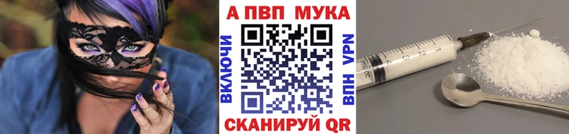 Купить закладки  Каргополь  A-PVP Соль 
