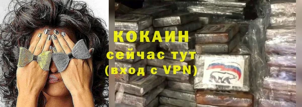 индика Сафоново