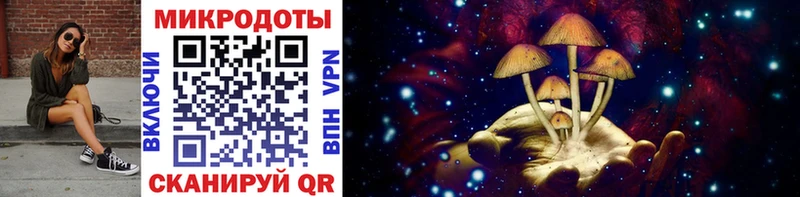 Псилоцибиновые грибы Psilocybine cubensis  Купить  Каргополь 
